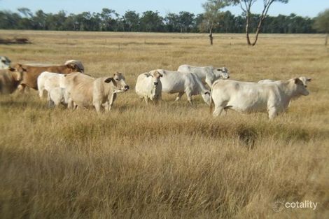 10 Balonne St, St George, QLD 4487