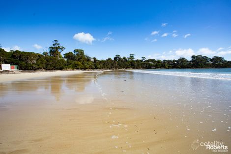 Property photo of 16 Beach Crescent Greens Beach TAS 7270