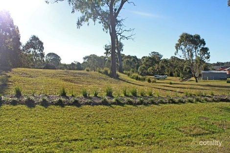 Property photo of 27 Marlin Circuit Hat Head NSW 2440