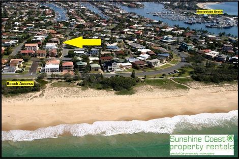 1/10 Alkira St, Buddina, QLD 4575