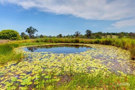 Property photo of 32 Rianna Road The Dawn QLD 4570
