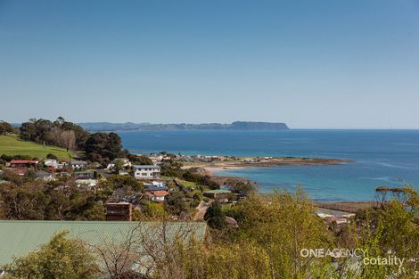 Property photo of 4 Richardson Crescent Park Grove TAS 7320