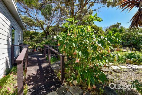 Property photo of 8 Cape Thomas Crescent Boatswain Point SA 5275