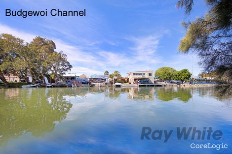 Property photo of 224 Scenic Drive Budgewoi NSW 2262