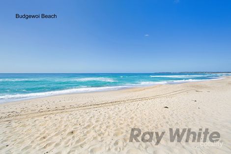 Property photo of 224 Scenic Drive Budgewoi NSW 2262