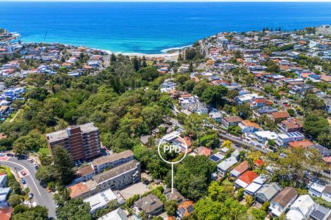 Property photo of 39B Murray Street Bronte NSW 2024