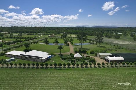 Property photo of 17 Eucalypt Way Cootharaba QLD 4565
