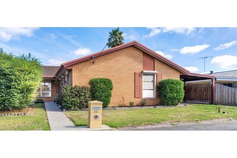 Property photo of 55 Solar Drive Whittington VIC 3219