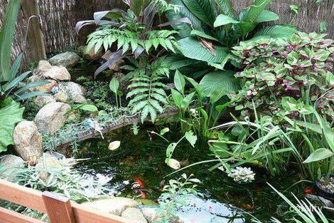 Property photo of 4 Cavalier Close Bald Hills QLD 4036