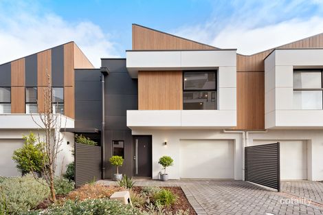 4/409 Anzac Hwy, Camden Park, SA 5038