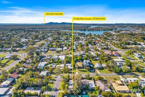 Property photo of 12 McNab Avenue Tewantin QLD 4565