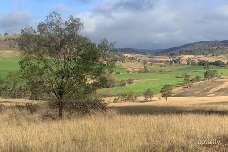 105 Tarlintons Lane, Candelo, NSW 2550