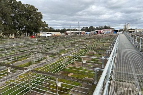 29-33 Wetherell St, Manjimup, WA 6258