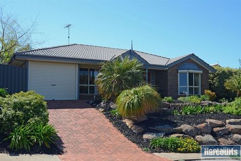 81 Ragamuffin Dr, Hallett Cove, SA 5158