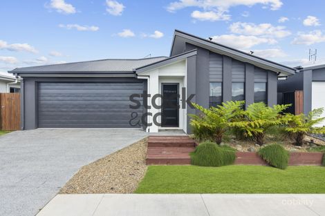 Property photo of 37 Chittick Crescent Palmview QLD 4553