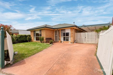 6 Bernard Ct, Somerville, VIC 3912