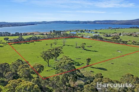 772 Windermere Rd, Swan Bay, TAS 7252
