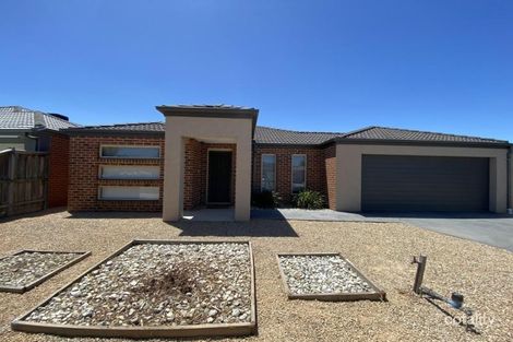 24 Ribbon Gum Dr, Tarneit, VIC 3029