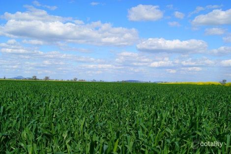 12323 Oxley Hwy, Nombi, NSW 2379