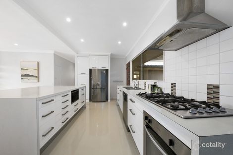 Property photo of 15 Timothy Street Moorooka QLD 4105