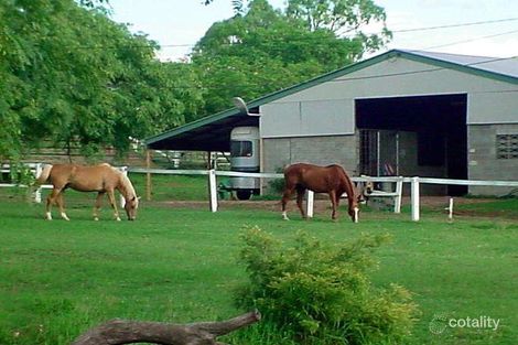 Property photo of 276 Ipswich-Boonah Road Purga QLD 4306