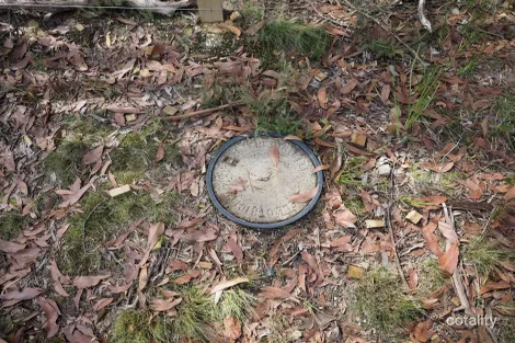 Property photo of Pine Court Dales Creek VIC 3341