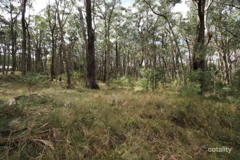 Property photo of Pine Court Dales Creek VIC 3341