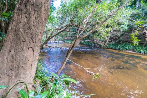Property photo of 216 Palm Valley Road Koah QLD 4881