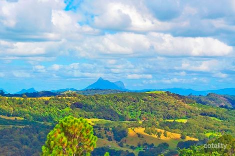 Property photo of 7 Snowgum Drive Bilambil Heights NSW 2486