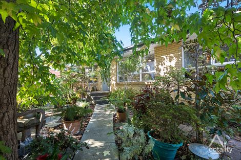 Property photo of 18 Cassowary Street Doncaster East VIC 3109