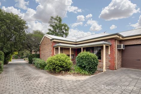 Property photo of 1/58 Amherst Avenue Trinity Gardens SA 5068