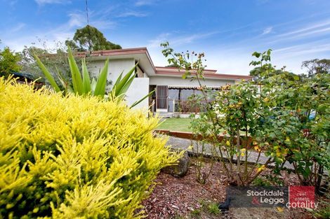 Property photo of 7 John Street Langwarrin VIC 3910