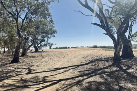 Property photo of 39 Robinson Road Stanley Flat SA 5453