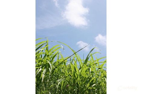 Property photo of LOT 623 Rous River Way Murwillumbah NSW 2484