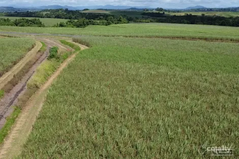 11/13 Bruce Hwy, Daradgee, QLD 4860