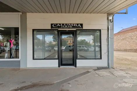 Property photo of 56 Ayr Street Jamestown SA 5491