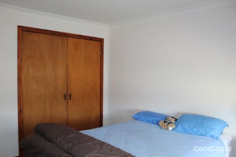 Property photo of 26 Bombelli Street Bingara NSW 2404