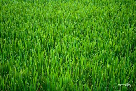 Property photo of 323 Bong Bong Road Horsley NSW 2530