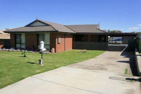 6 Berberick Ct, Thurgoona, NSW 2640