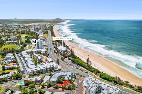 217/180 Alexandra Pde, Alexandra Headland, QLD 4572