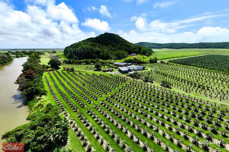 430 Cowley Beach Rd, Lower Cowley, QLD 4871