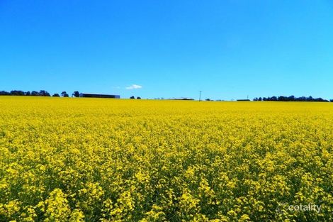 240 Longs Corner Rd, Canowindra, NSW 2804