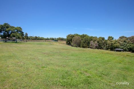 Property photo of 1 Semillon Close Hinton NSW 2321