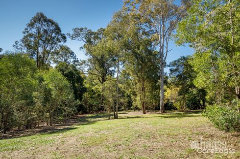 Property photo of 54 Gray Avenue Corinda QLD 4075