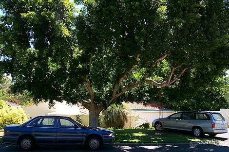 89 Glengariff Dr, Floreat, WA 6014