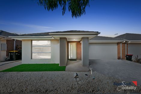 Property photo of 11 Cobbler Street Harkness VIC 3337