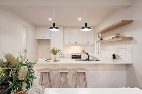 Property photo of 46 Brae Street Coorparoo QLD 4151