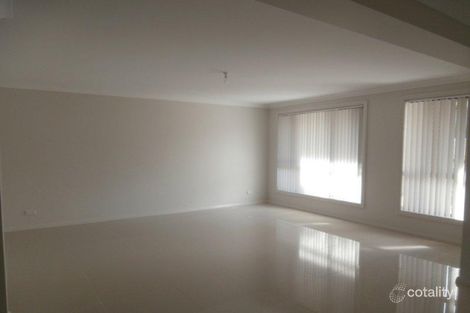Property photo of 31 Oliver Place Berkeley NSW 2506