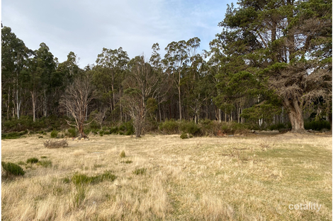 Property photo of 12 Lee Street Rossarden TAS 7213