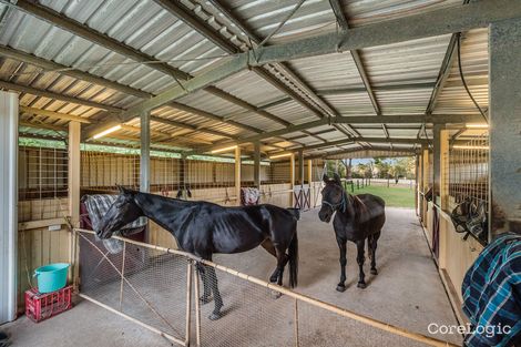 Property photo of 76 Mansfield Road Elimbah QLD 4516